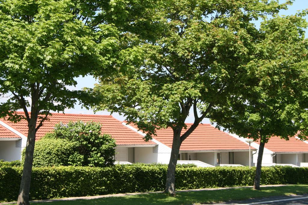 Aero Marina Villa Ærøskøbing Dış mekan fotoğraf